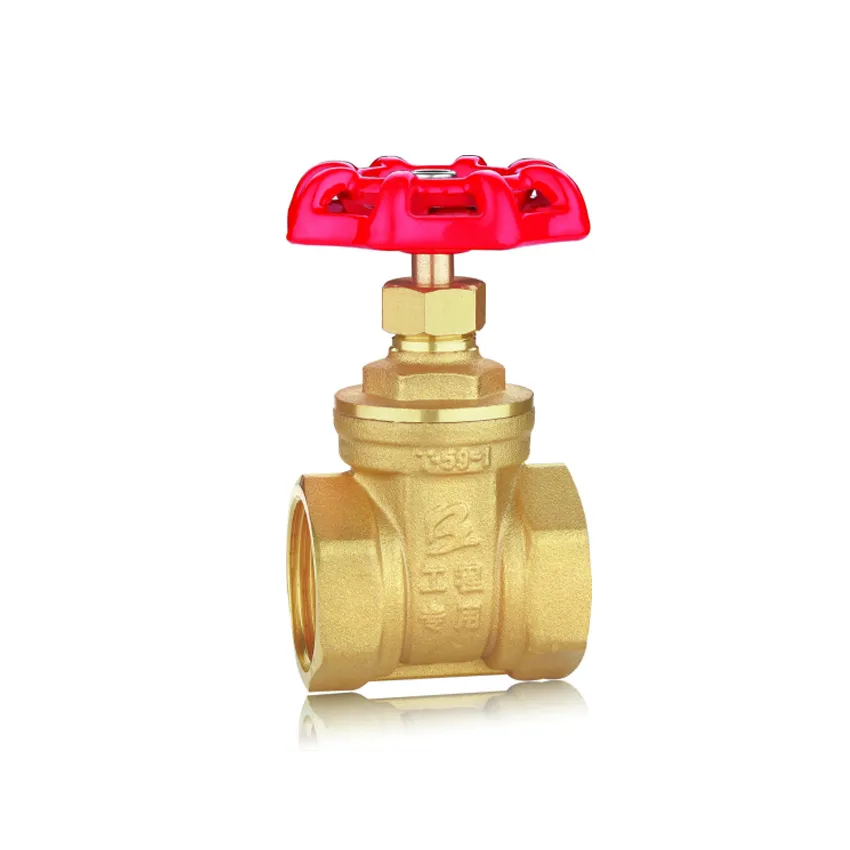 صمام البوابة الهندسية